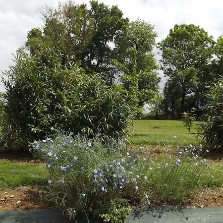 Casa vacanze La Maison De Margot *